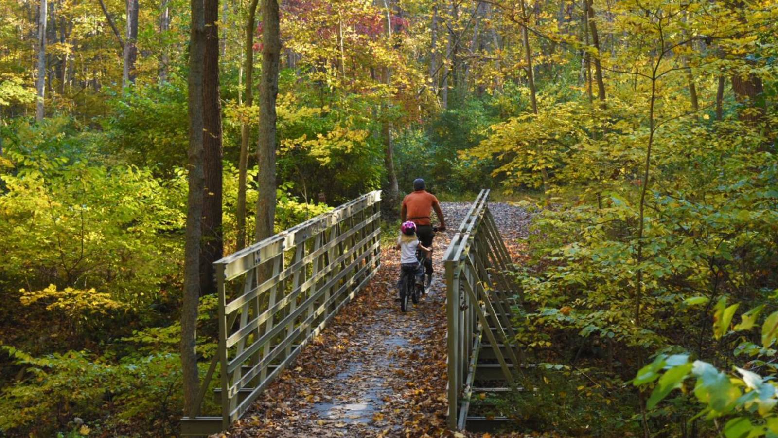 <p>McDade Recreational Trail, Delaware Water Gap National Recreation Area, East Stroudsburg, PA.</p>