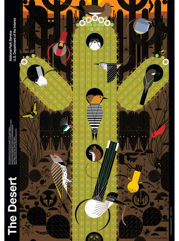 <p>Harper's distillation of a desert park shows the yellow eyes and dark silhouettes of javelinas and other critters, as well as the many species of birds that nest in the saguaro cactus.</p>