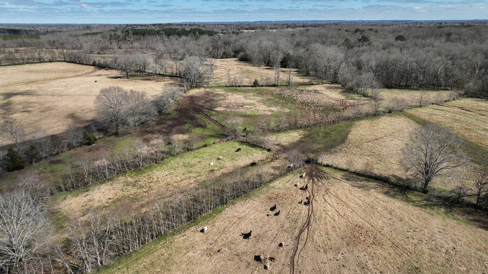 <p>The pastoral landscape along the Selma to Montgomery National Historic Trail in Lowndes County, Alabama.</p>