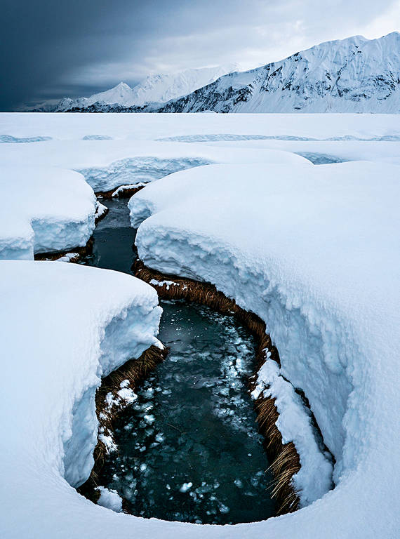 <p>The wintry landscape of Kenai Fjords National Park.</p>