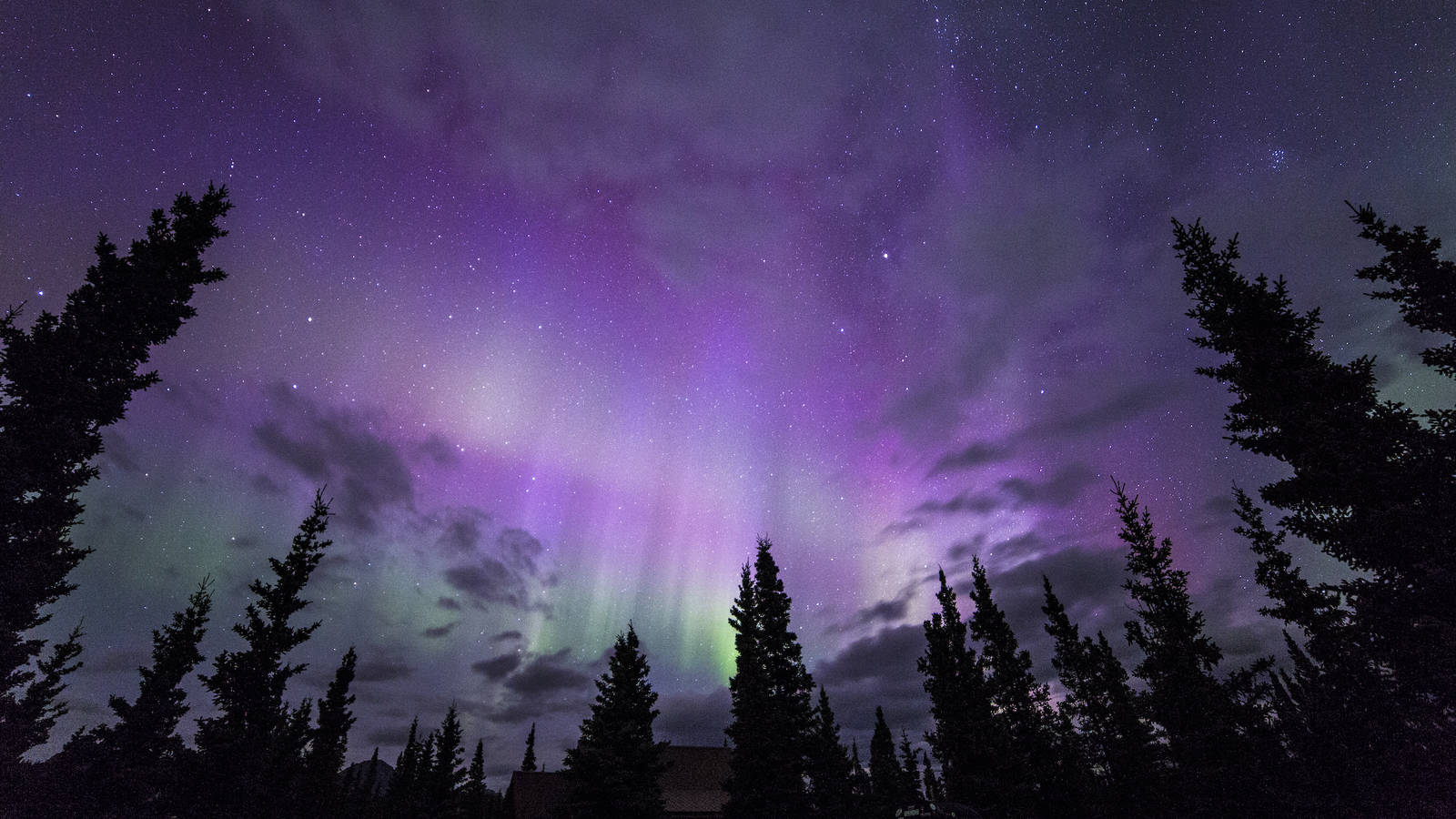 <p>Denali National Park and Preserve, Alaska.</p>
