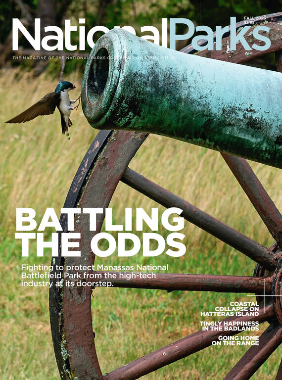 Fall 2023 magazine cover