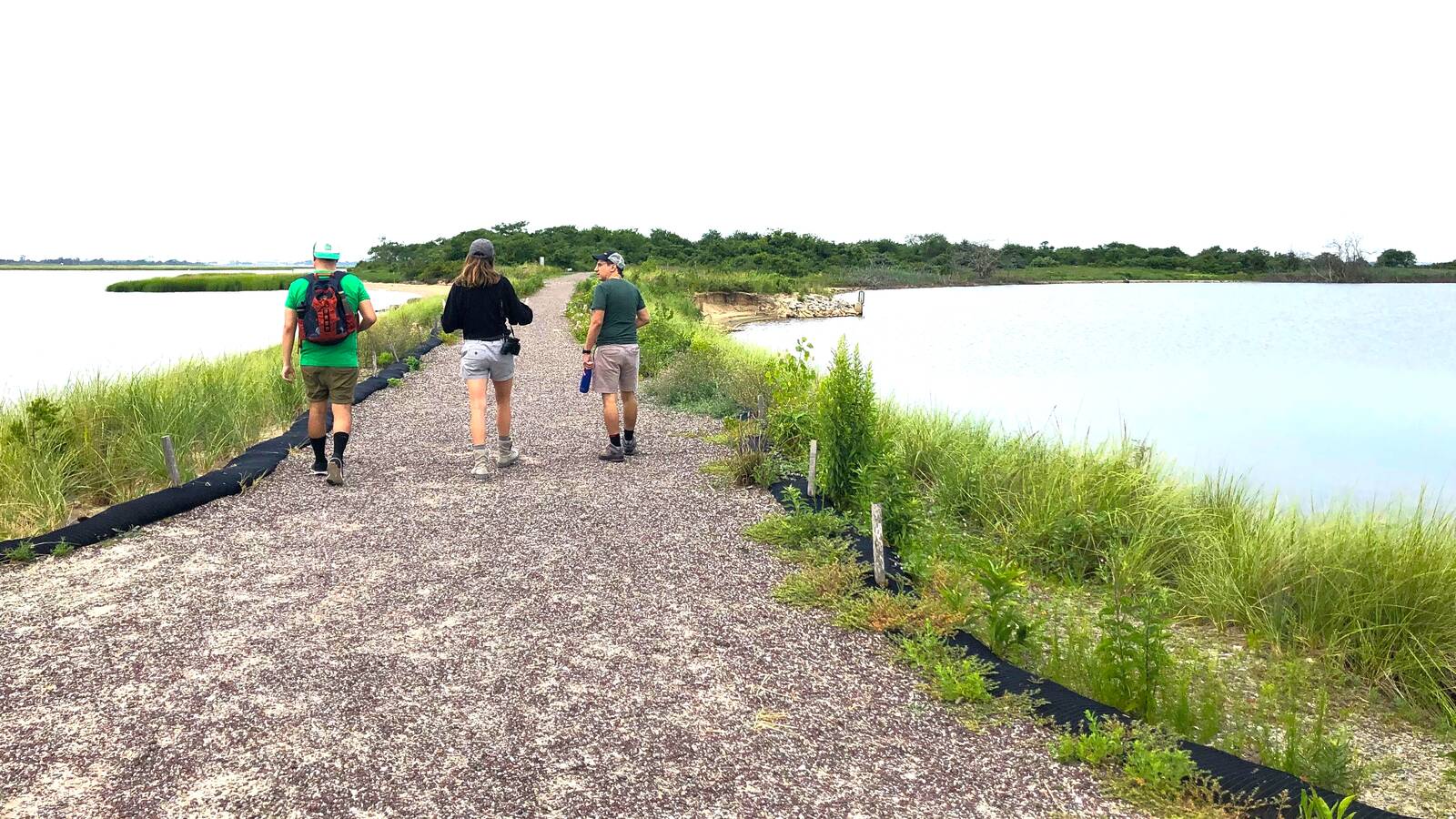 <p>NPCA’s Northeast Regional staff hike the West Pond Trail at the Jamaica Bay Wildlife Refuge</p>
