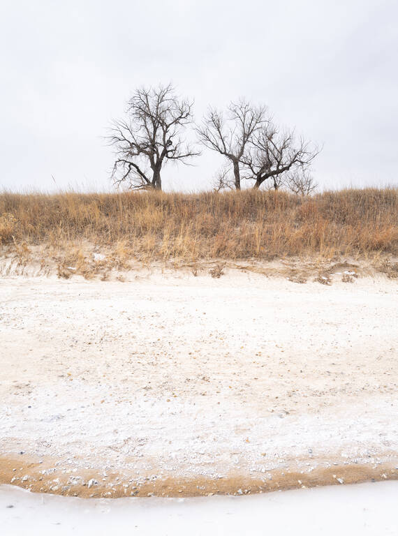 <p>The deserted park landscape after Winter Storm Diaz.</p>
