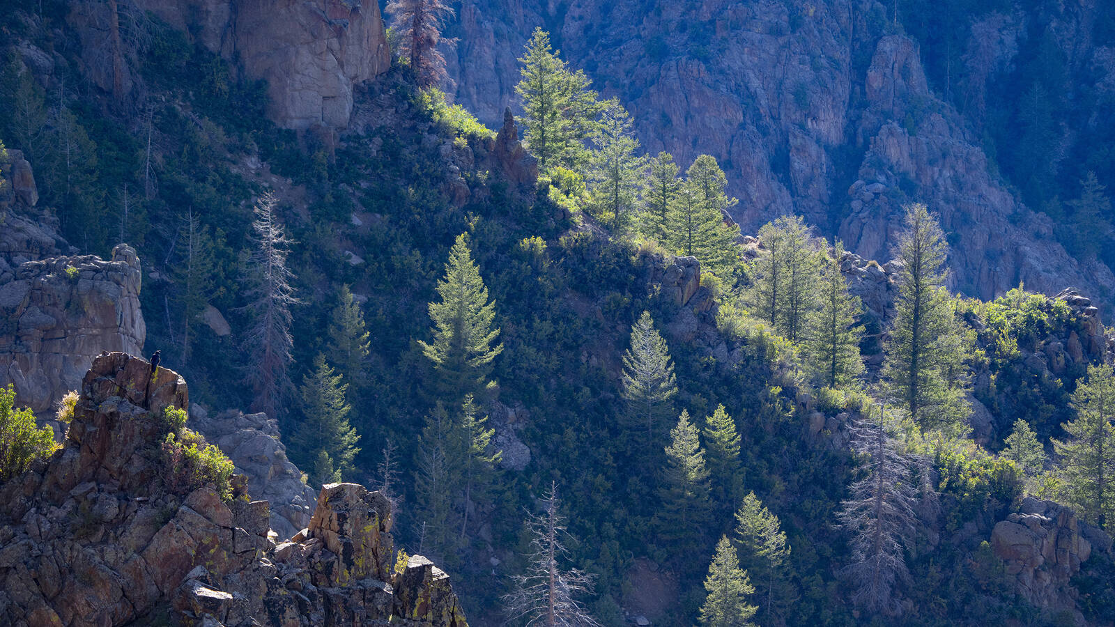 <p>The ridgeline at Sunset View.</p>