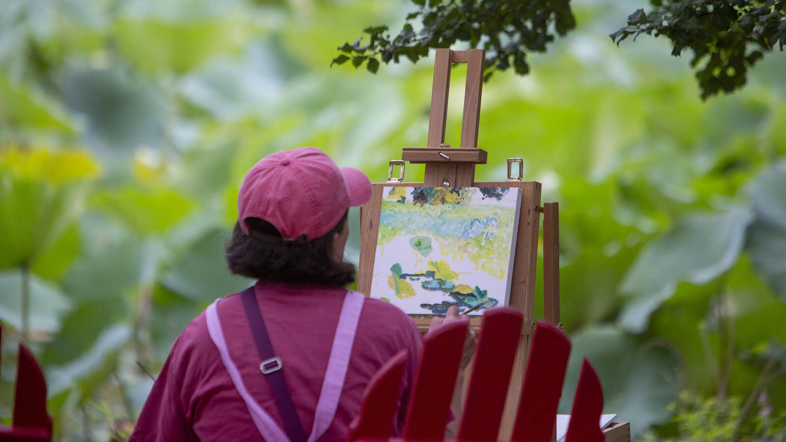 <p>Capturing nature at Kenilworth Park &amp; Aquatic Gardens, part of Anacostia Park.</p>